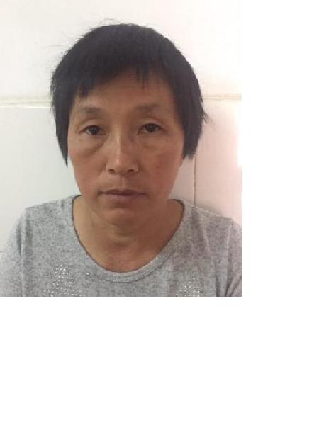 流浪人员郑美香照片，让爱回家
