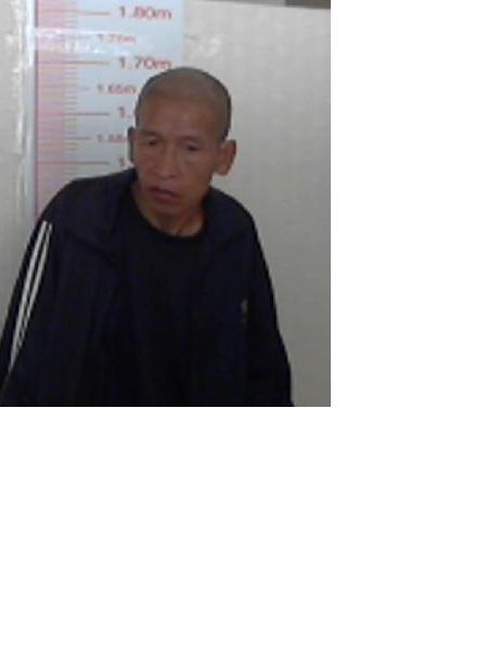 流浪人员新河所1照片，让爱回家
