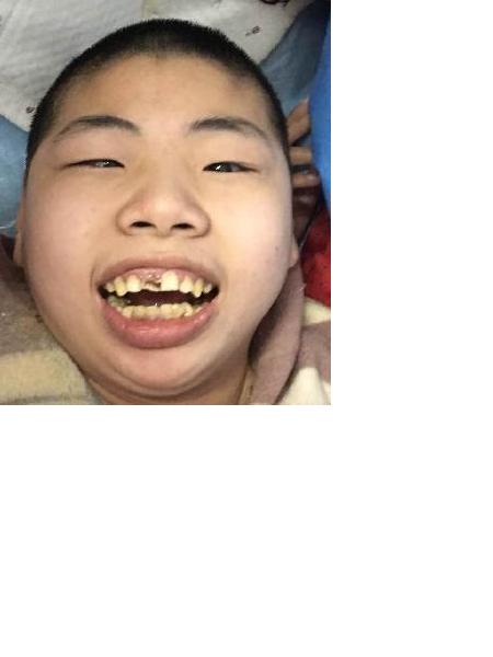 流浪人员布丁照片，让爱回家