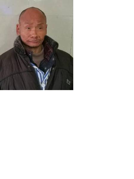 流浪人员武大（取名）照片，让爱回家