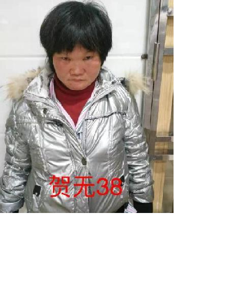 流浪人员贺无名38照片，让爱回家