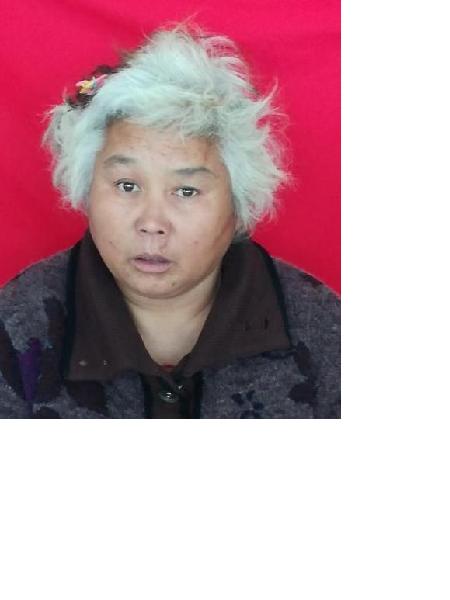 流浪人员山城区女15号照片，让爱回家