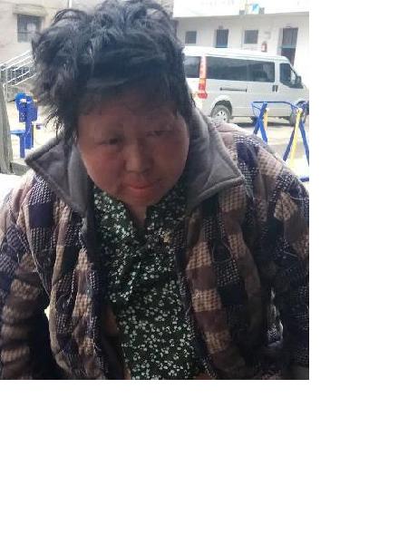 流浪人员胖妮照片，让爱回家