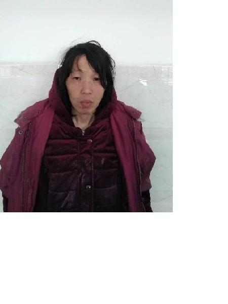 流浪人员2019B04照片，让爱回家