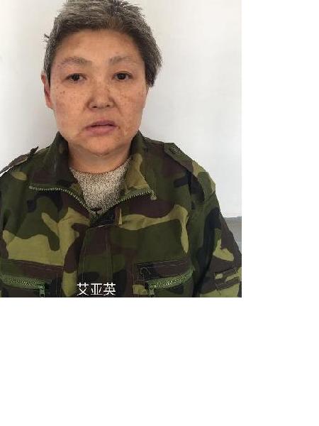 流浪人员艾亚英照片，让爱回家