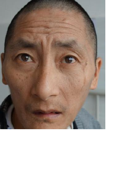 流浪人员黄毛儿照片，让爱回家