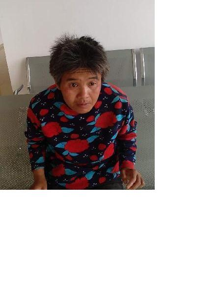 流浪人员张丽学照片，让爱回家
