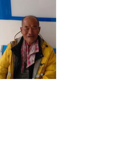 流浪人员林木湖照片，让爱回家