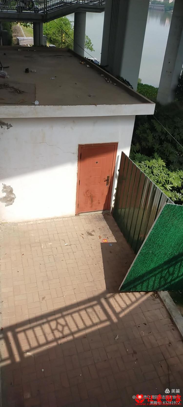 1629950951729891.jpg