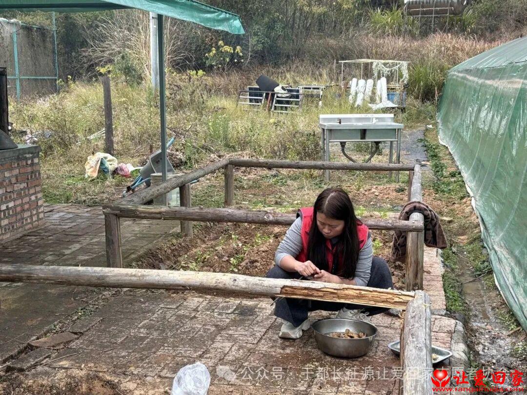 1766978735142787.jpg 微信图片_2025-12-29_112002_895.jpg