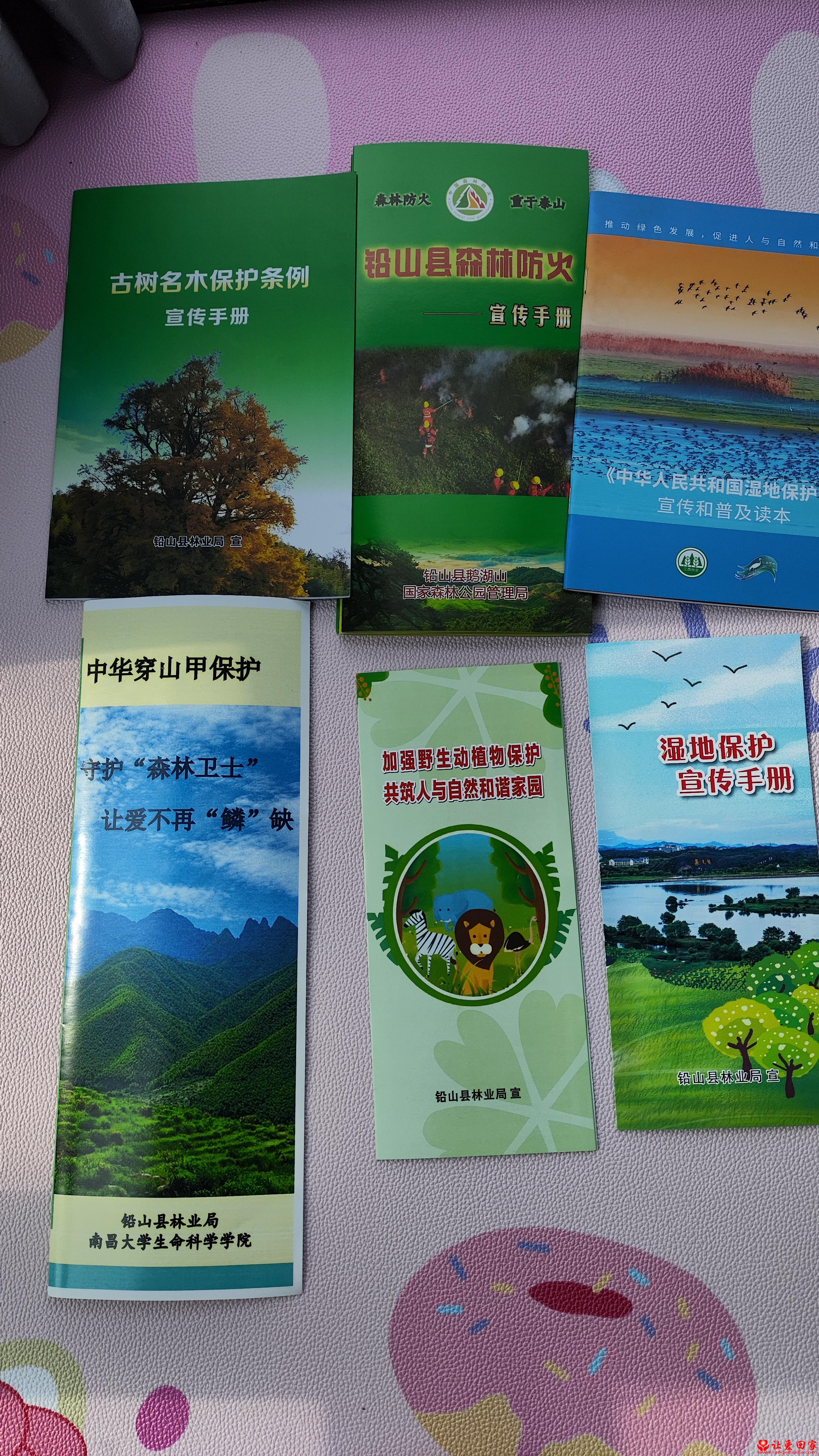 1769666996536393.jpg 微信图片_20260129130835_2089_125.jpg