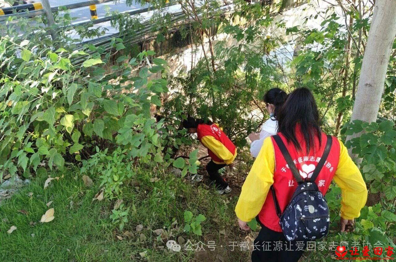 1791986516182961.jpg 微信图片_2026-10-14_215759_993.jpg