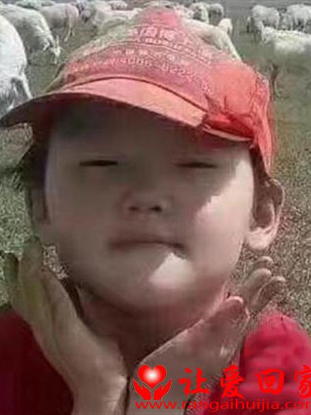 失踪人员包美霞 照片，让爱回家