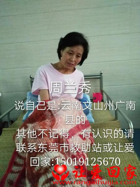 流浪人员周秀兰照片，让爱回家