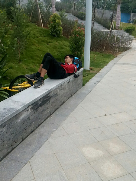 流浪人员无名氏照片，让爱回家