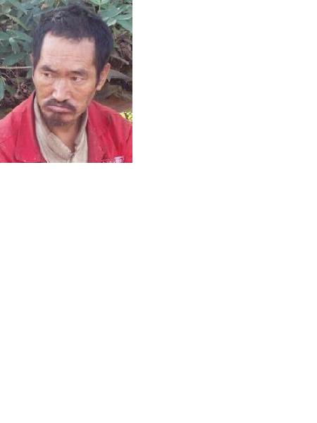 流浪人员2017无名氏1照片，让爱回家