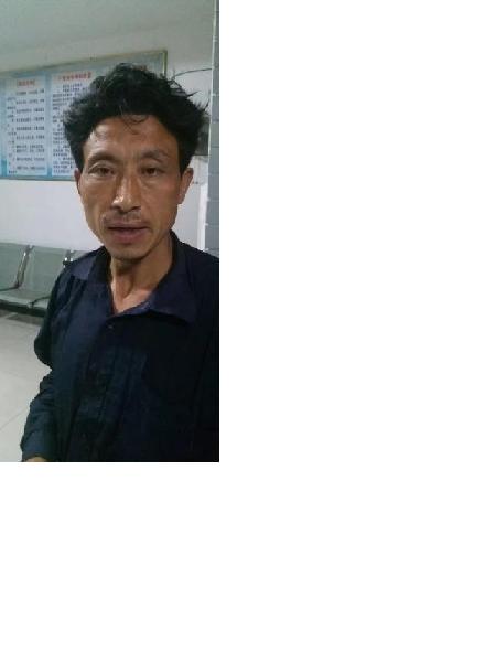 流浪人员林维晏照片，让爱回家