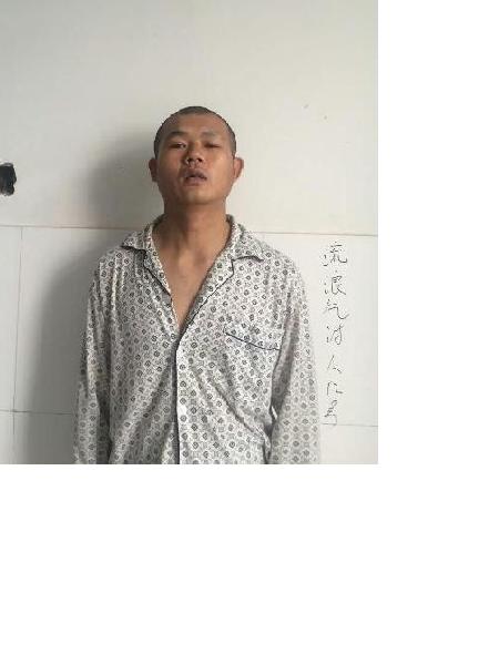 流浪人员流浪人员12号照片，让爱回家