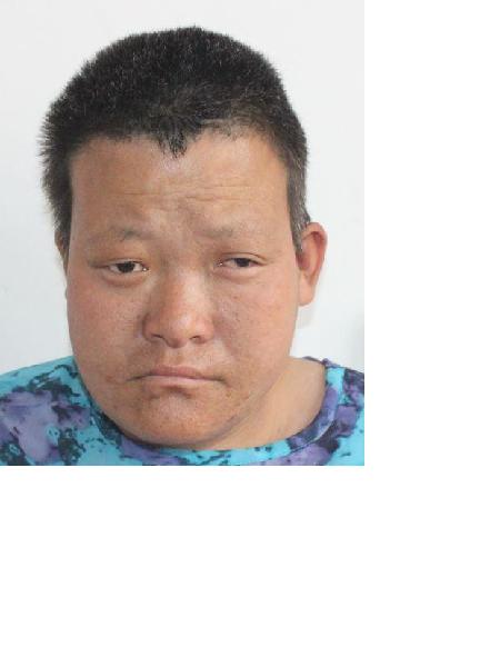 流浪人员无名氏2照片，让爱回家