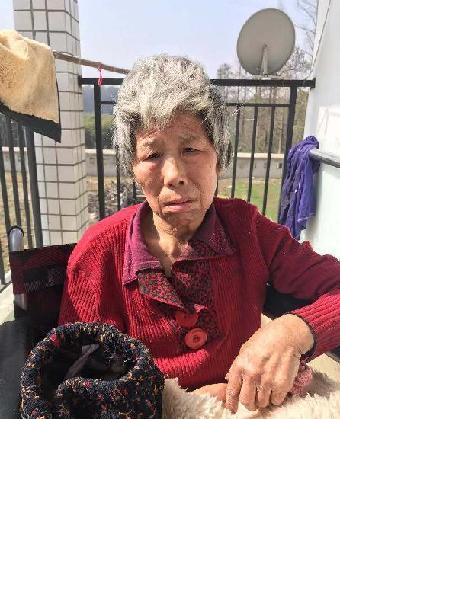 流浪人员陈婆婆照片，让爱回家