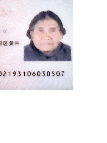流浪人员张开秀照片，让爱回家