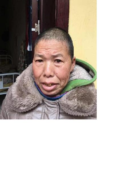 流浪人员党想象（解集4号）照片，让爱回家