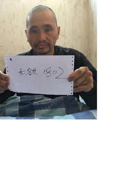 流浪人员英救1802照片，让爱回家