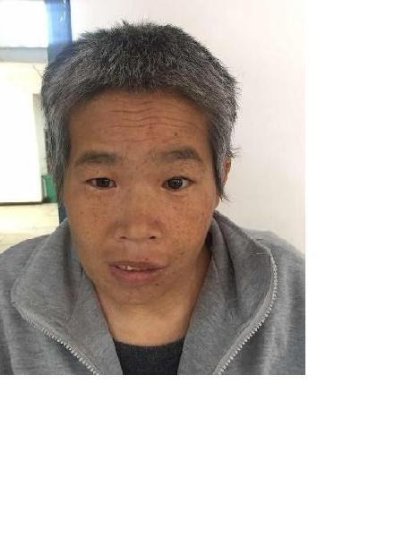 流浪人员杨小妮照片，让爱回家