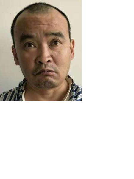 流浪人员杨登勇照片，让爱回家