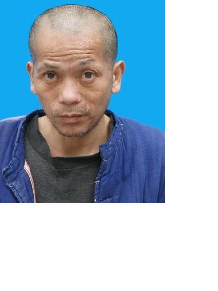 流浪人员流浪者14照片，让爱回家