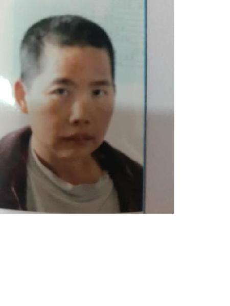 流浪人员大埔16照片，让爱回家