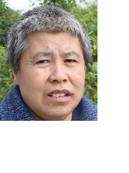 流浪人员无名氏照片，让爱回家