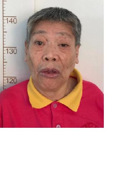 流浪人员港口378照片，让爱回家