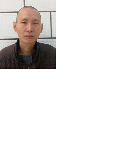 流浪人员车小二照片，让爱回家