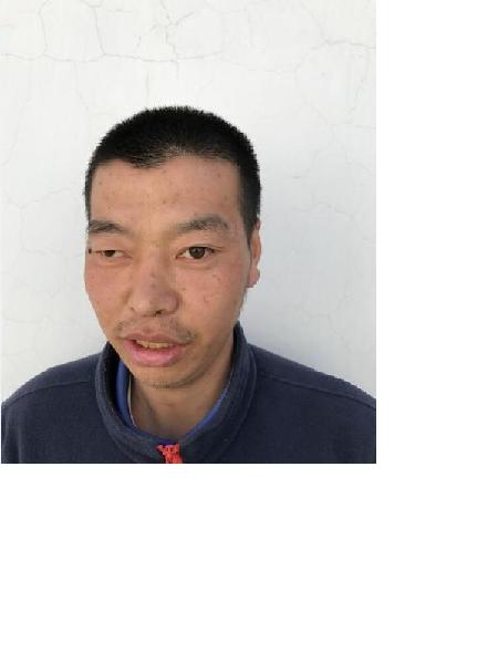 流浪人员魏奇海照片，让爱回家