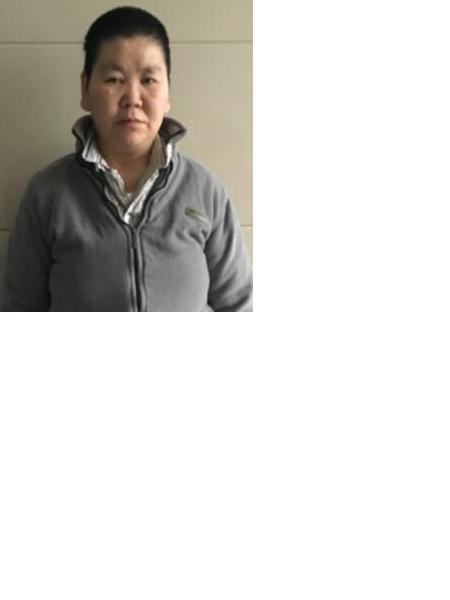 流浪人员无名氏H2照片，让爱回家