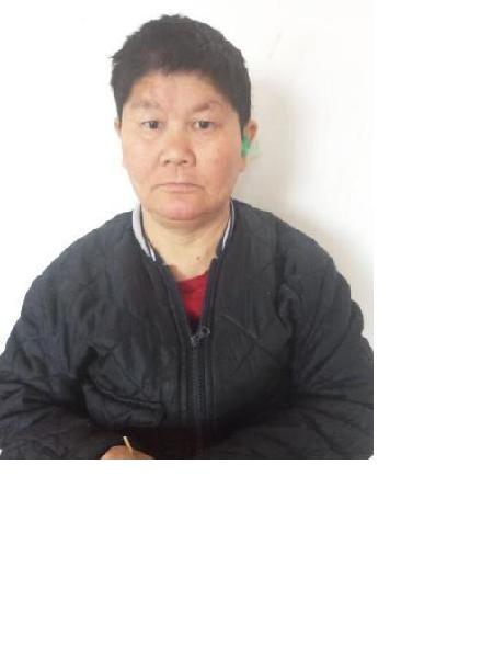 流浪人员代养4照片，让爱回家