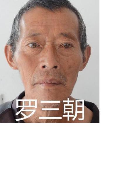 流浪人员罗三朝照片，让爱回家