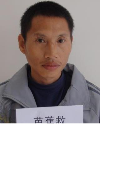 流浪人员芭蕉救照片，让爱回家