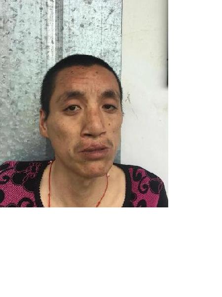 流浪人员支河6号照片，让爱回家