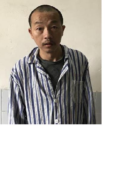 流浪人员杨轩照片，让爱回家