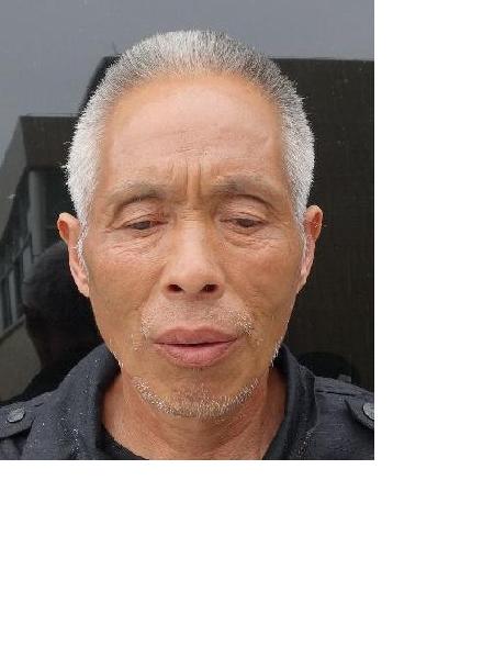 流浪人员惠救707/赖觉来/HA5照片，让爱回家