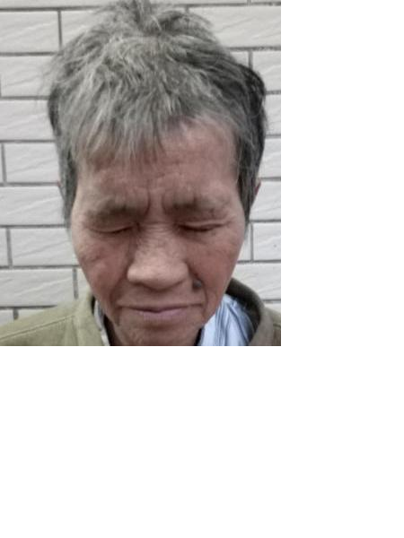 流浪人员高无名氏144照片，让爱回家
