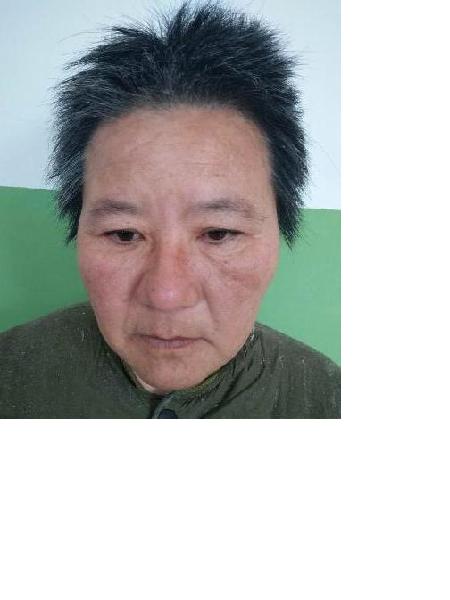流浪人员党临于照片，让爱回家