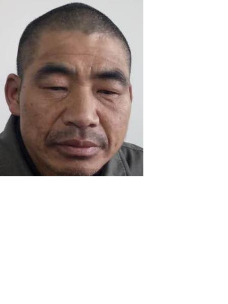 流浪人员杨红照片，让爱回家