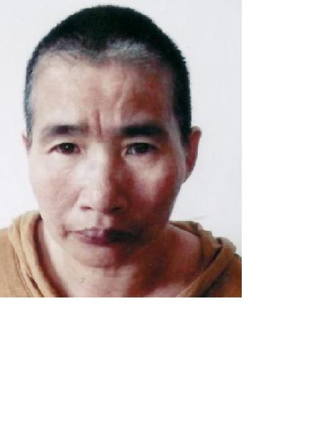 流浪人员明天照片，让爱回家