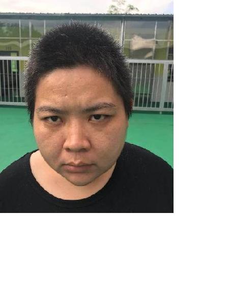 流浪人员郑莹照片，让爱回家