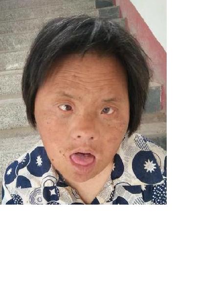 流浪人员党桃燕照片，让爱回家