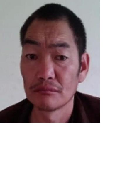 流浪人员不详照片，让爱回家