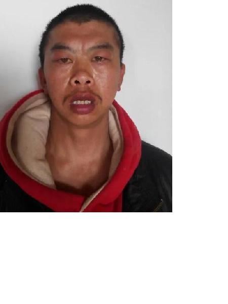 流浪人员无名氏28照片，让爱回家
